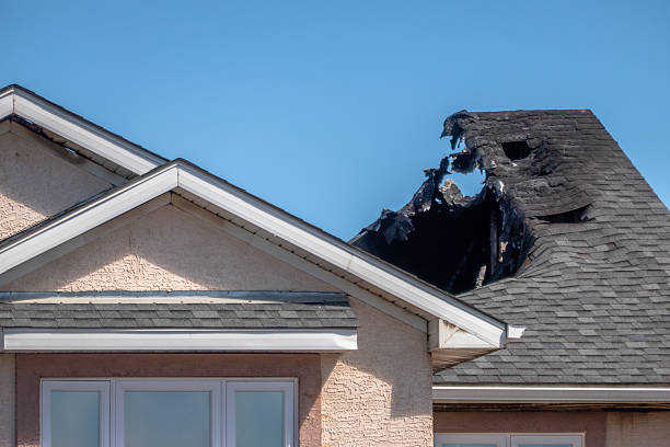 Licensed Odor Removal service in Foley, MN - Fire Damage Biloxi